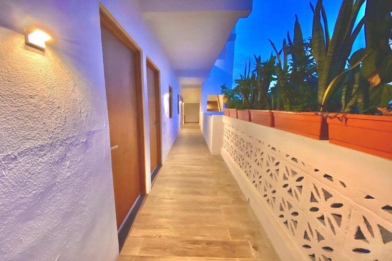 Casa Palo Verde Кабо Сан Лукас Екстериор снимка
