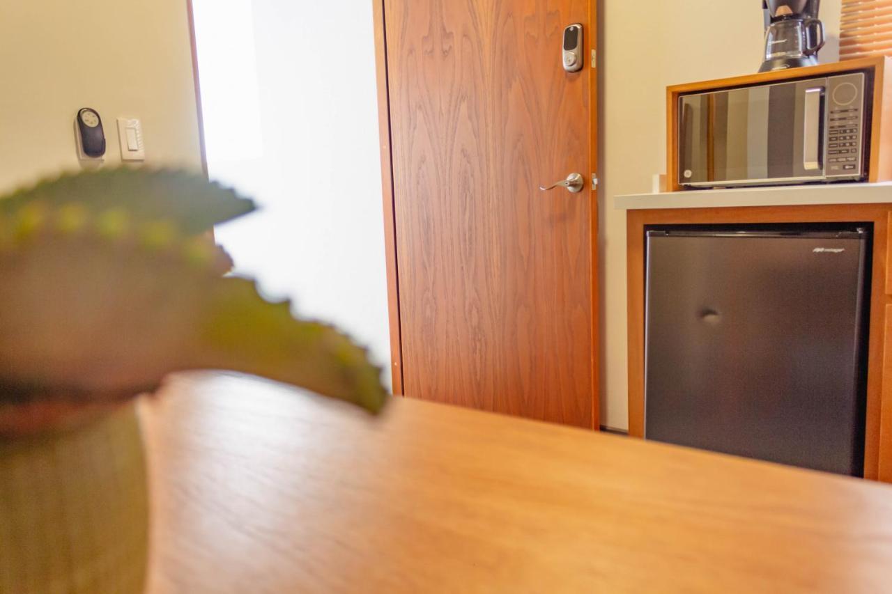 Casa Palo Verde Кабо Сан Лукас Екстериор снимка