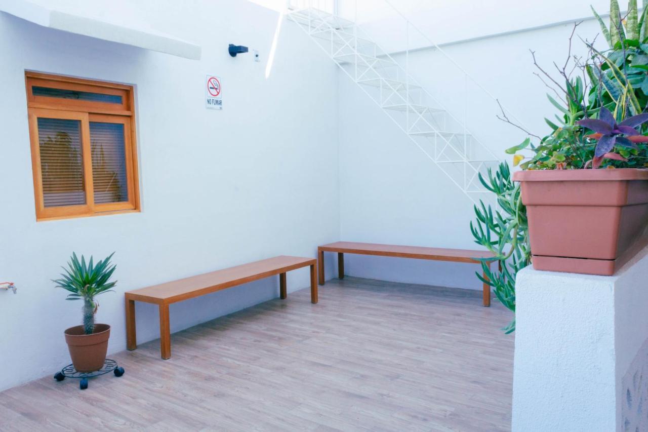 Casa Palo Verde Кабо Сан Лукас Екстериор снимка